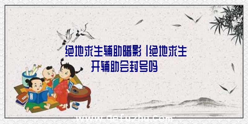 「绝地求生辅助暗影」|绝地求生开辅助会封号吗